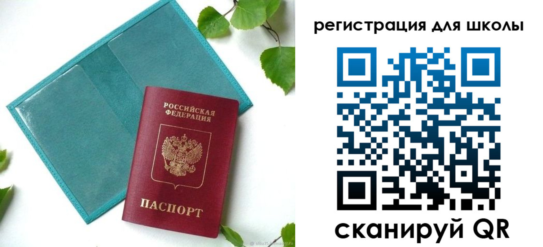 прописка регистрация в Сальске